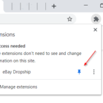 ebay-chrome-extension-on-browser-pin